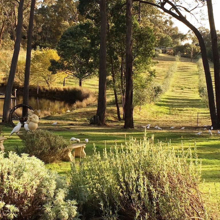 Countryside Retreat Romantic Tranquil Native Wildlife Township Hepburn - Daylesford Хепбёрн-Спрингс Экстерьер фото