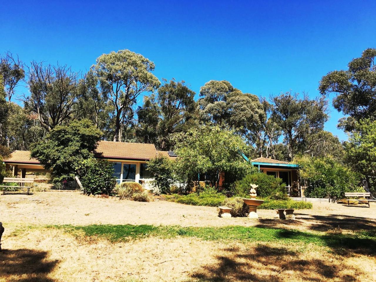 Countryside Retreat Romantic Tranquil Native Wildlife Township Hepburn - Daylesford Хепбёрн-Спрингс Экстерьер фото