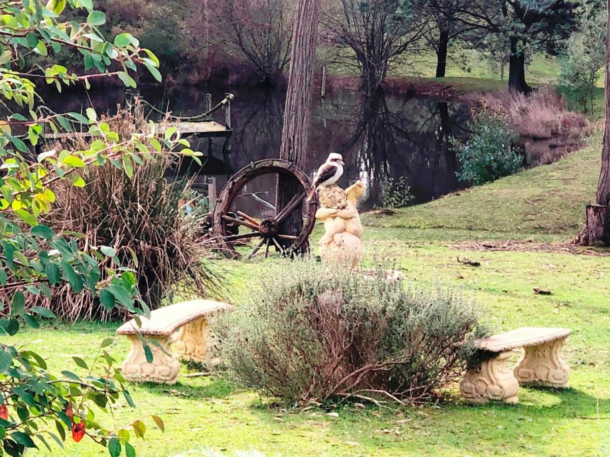 Countryside Retreat Romantic Tranquil Native Wildlife Township Hepburn - Daylesford Хепбёрн-Спрингс Экстерьер фото